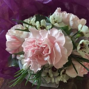 Meet your Posher, Elena